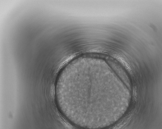 X0000115410397200912011230