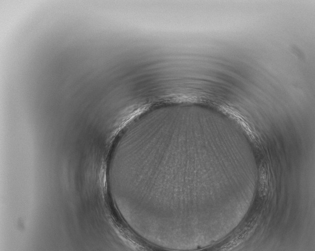 X0000115410398200912011230