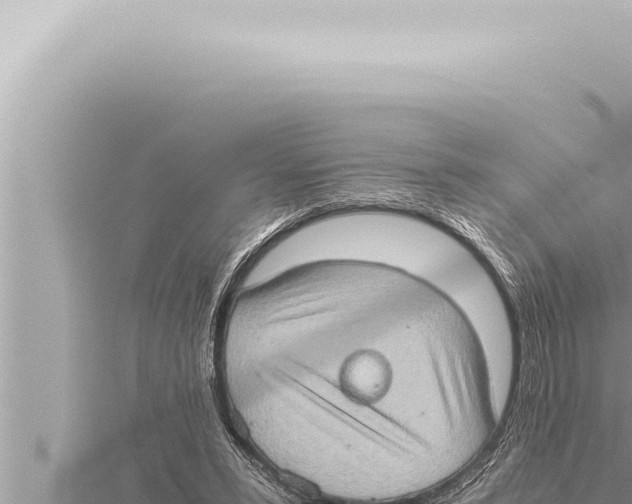 X0000115410399200912011230