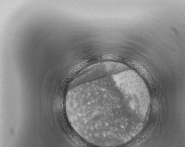 X0000115410401200912011229