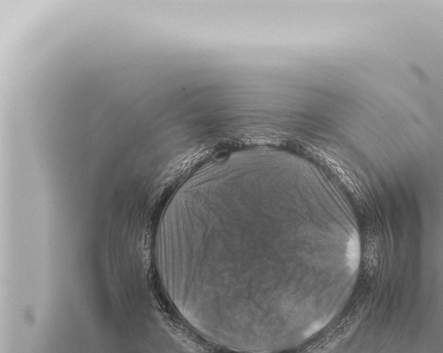 X0000115410402200912011229