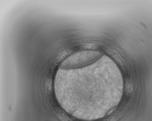 X0000115410403200912011229