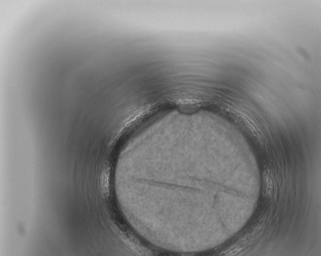 X0000115410404200912011229