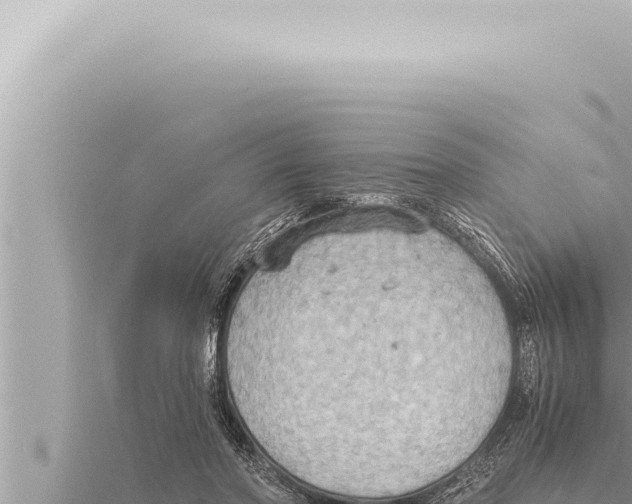 X0000115410406200912011229