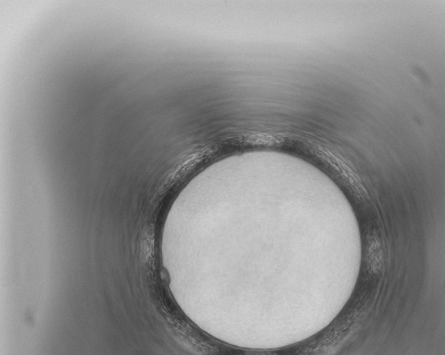 X0000115410407200912011229