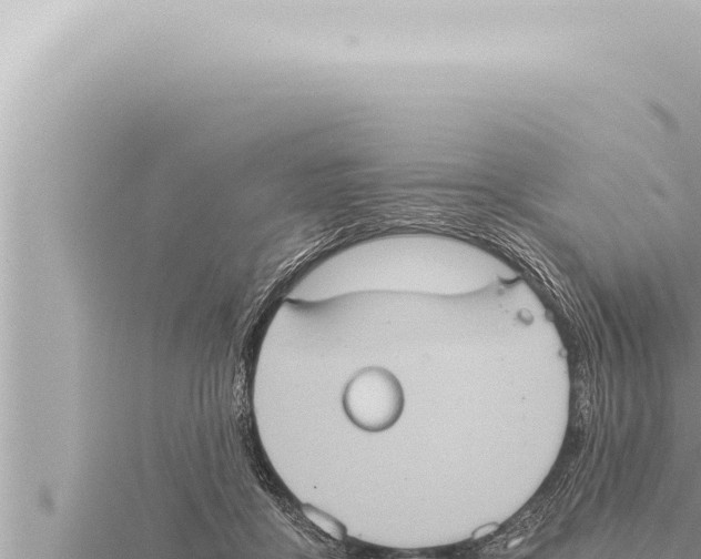 X0000115410411200912011229