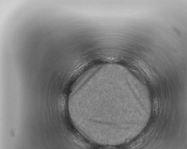 X0000115410412200912011229