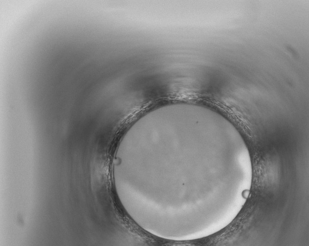 X0000115410415200912011229