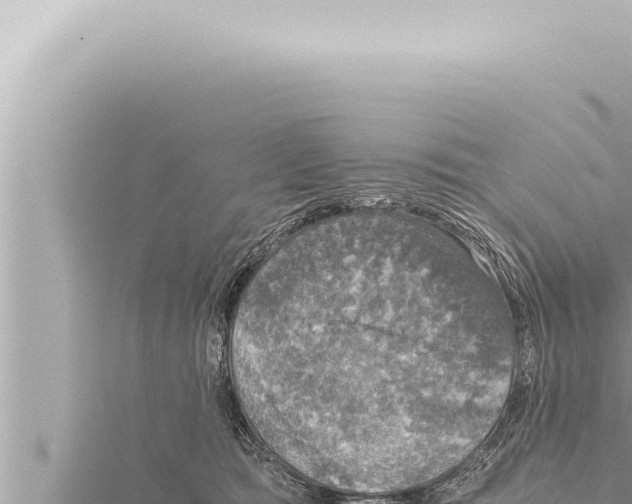 X0000115410417200912011229