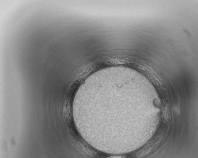 X0000115410418200912011229