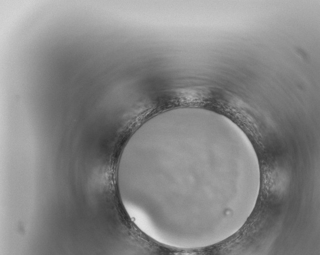 X0000115410419200912011229