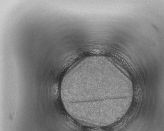 X0000115410420200912011229