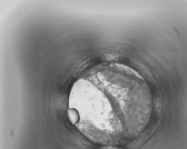 X0000115410421200912011229