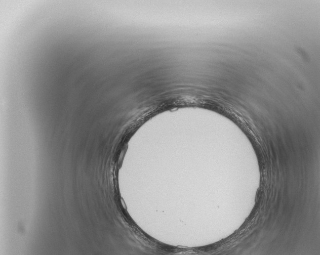 X0000115410423200912011229