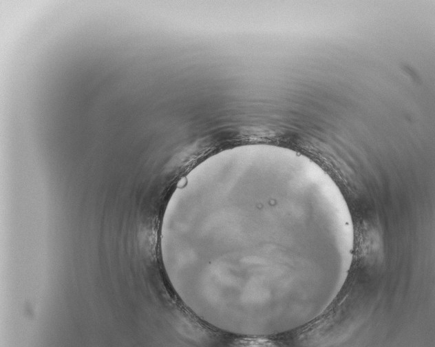 X0000115410427200912011229