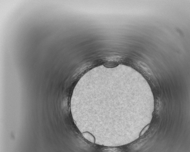 X0000115410428200912011229