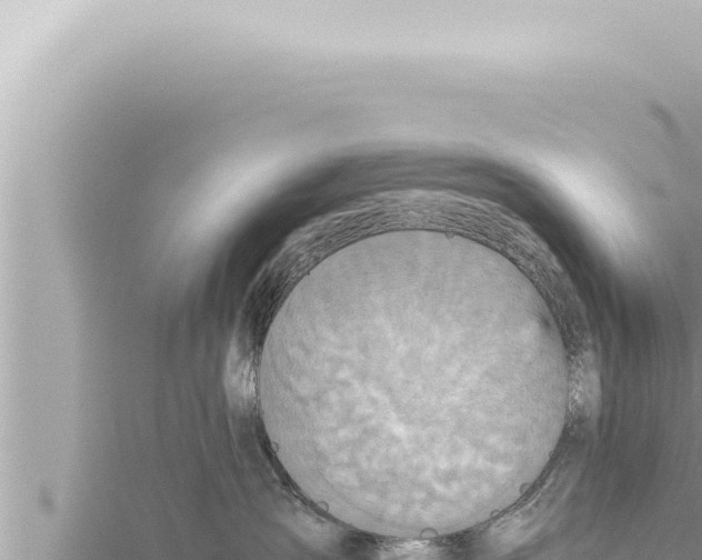 X0000115410431200912011229