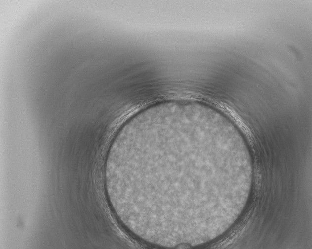 X0000115410433200912011228