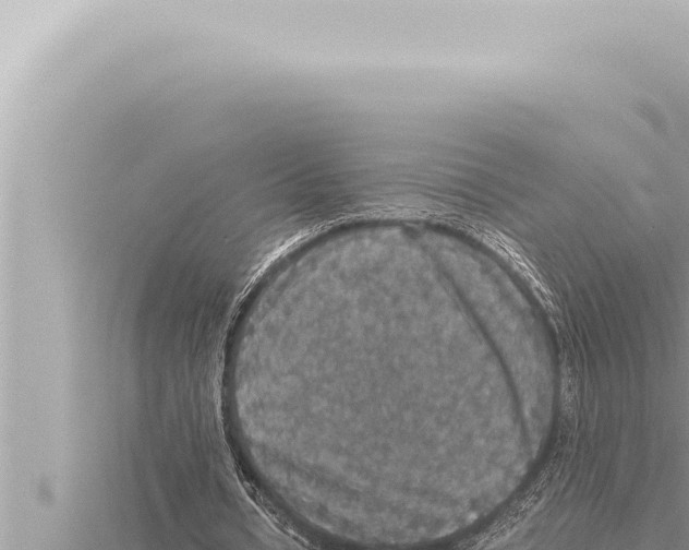 X0000115410434200912011228