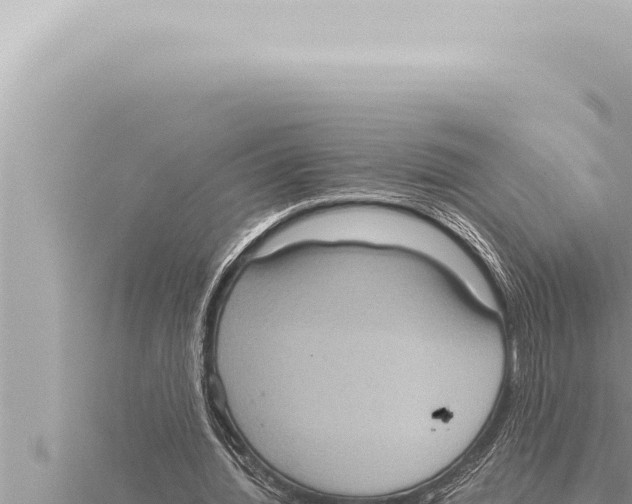 X0000115410436200912011228