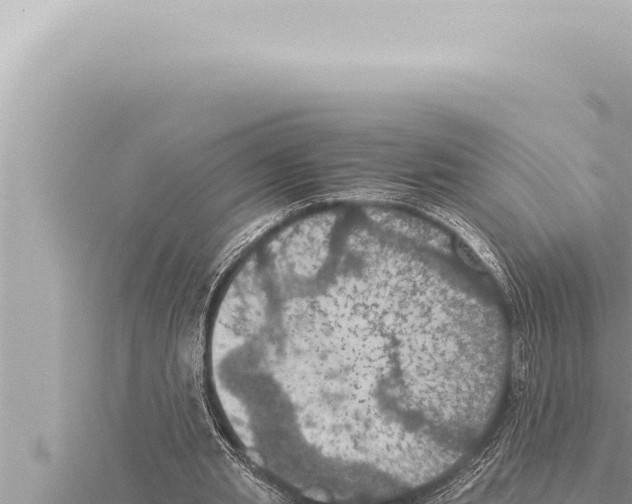 X0000115410437200912011228