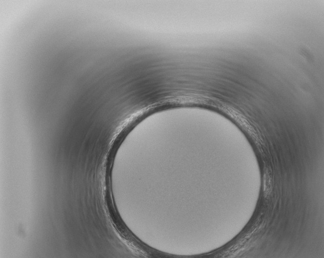 X0000115410438200912011228