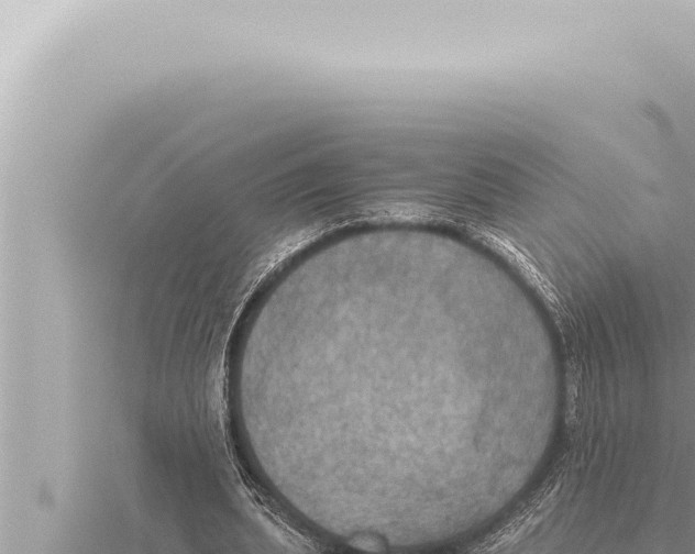 X0000115410439200912011228