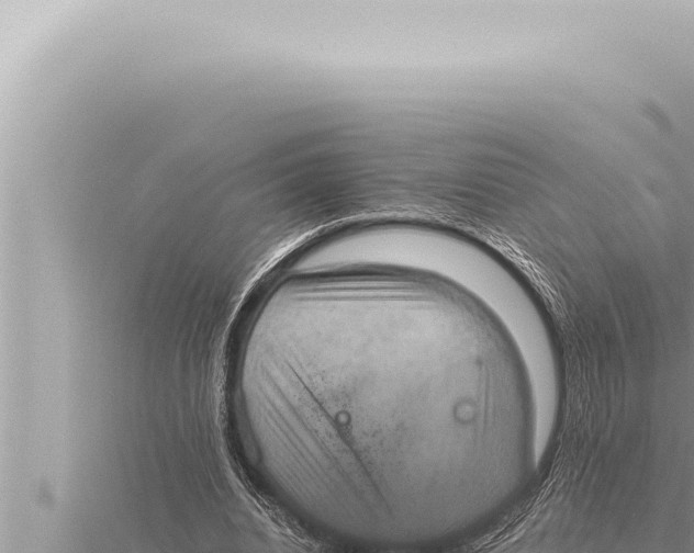 X0000115410440200912011228