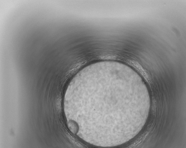 X0000115410441200912011228