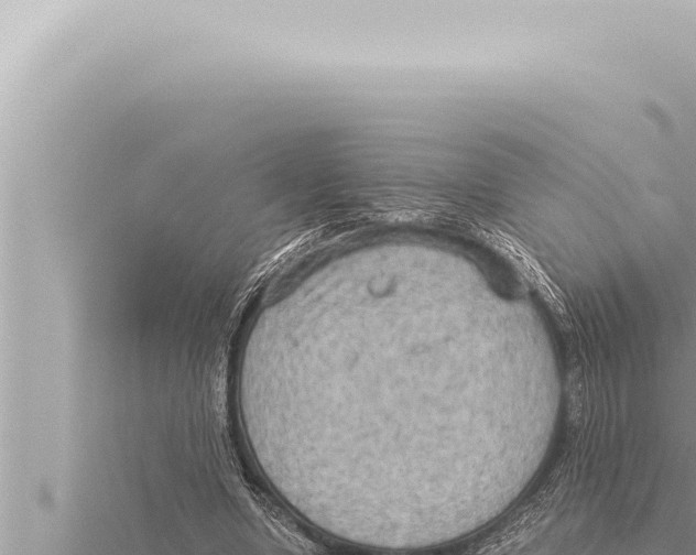 X0000115410442200912011228