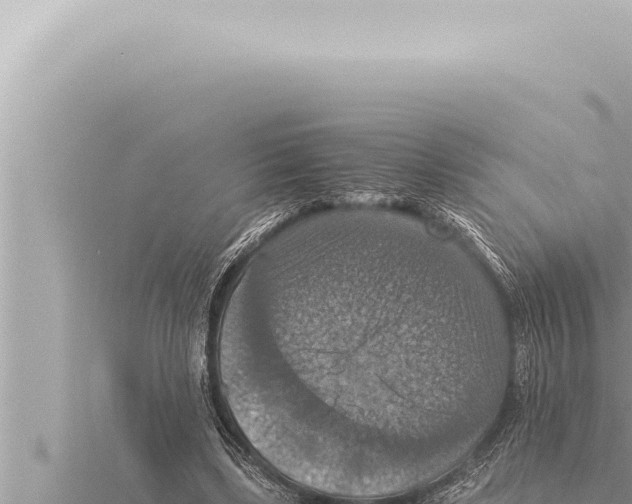 X0000115410443200912011228