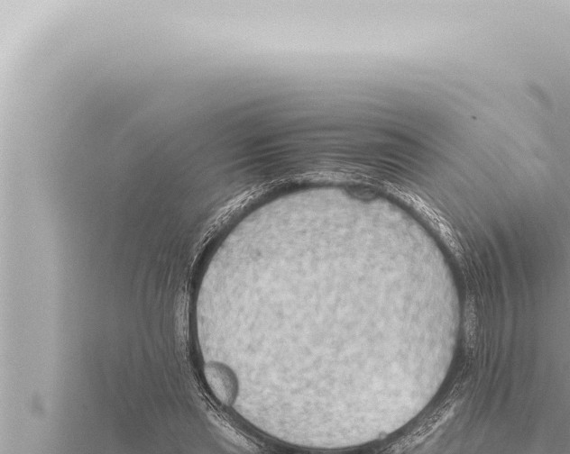 X0000115410445200912011228