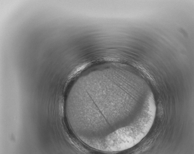 X0000115410446200912011228