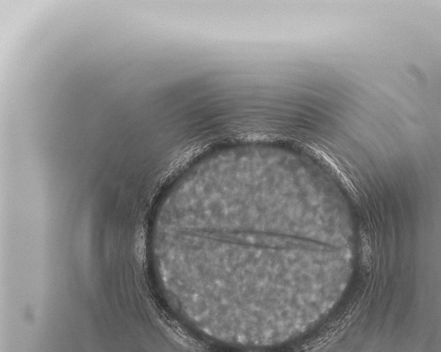 X0000115410447200912011228