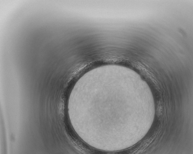 X0000115410448200912011228