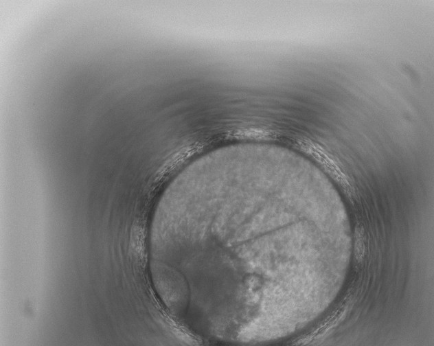 X0000115410449200912011229