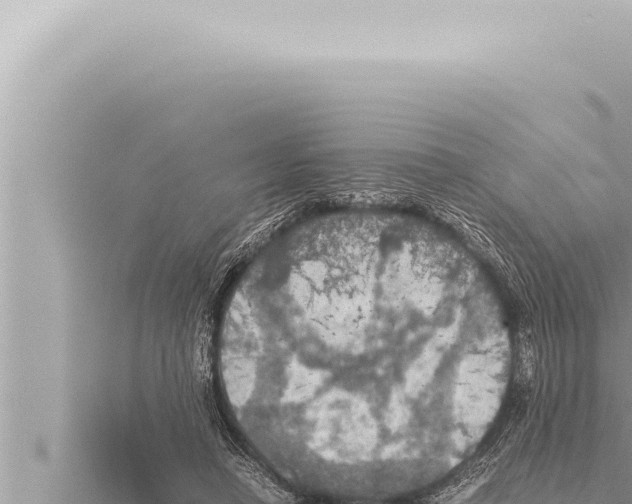 X0000115410450200912011229