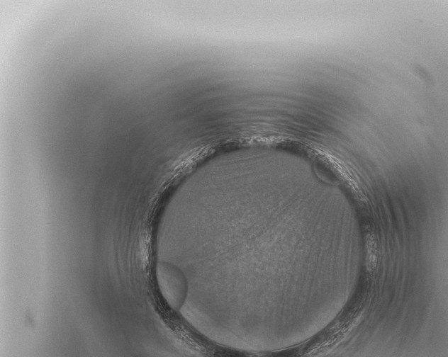 X0000115410451200912011229