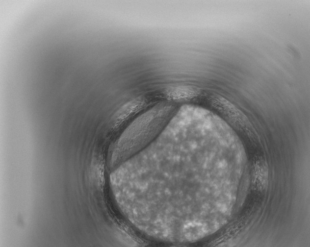 X0000115410452200912011229