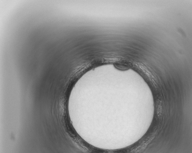 X0000115410455200912011229