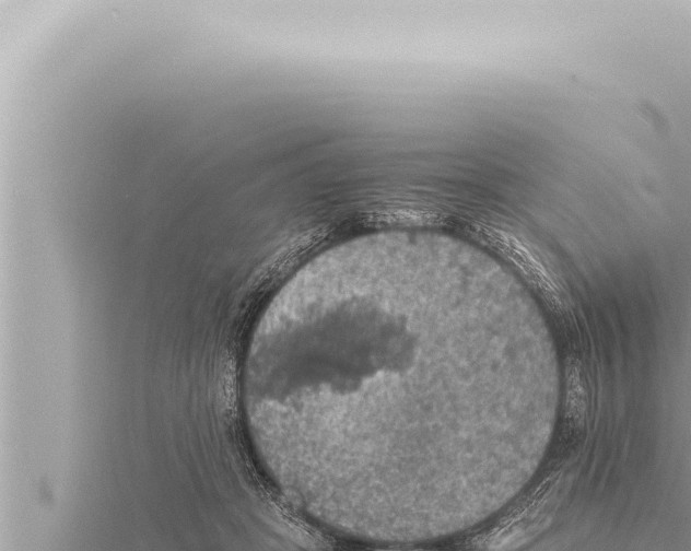 X0000115410457200912011229