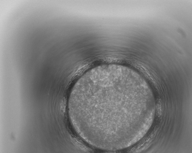 X0000115410458200912011229