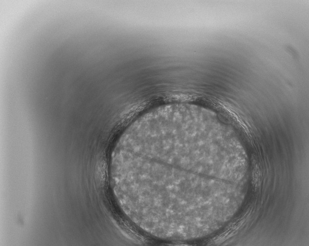 X0000115410459200912011229