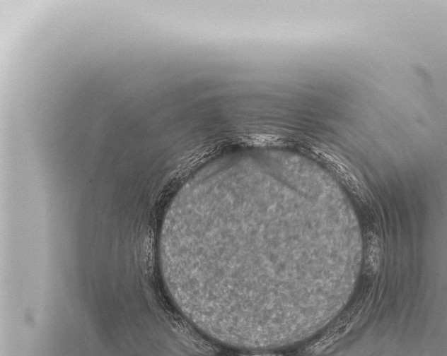 X0000115410461200912011229