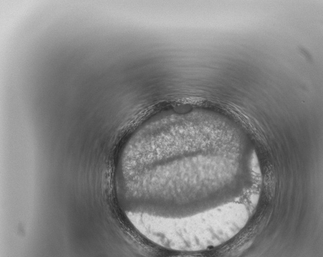 X0000115410462200912011229