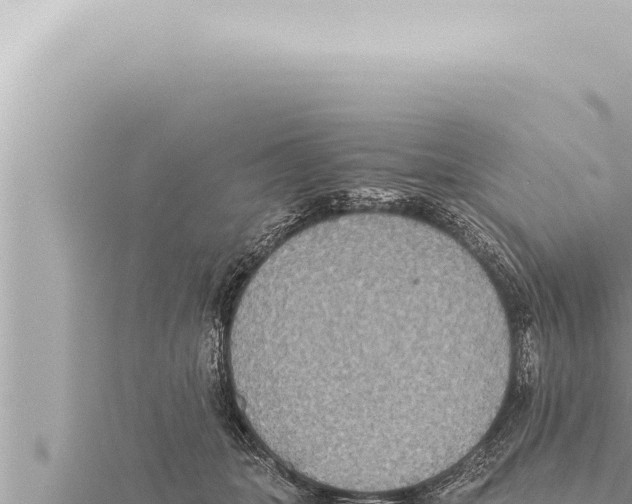 X0000115410463200912011229