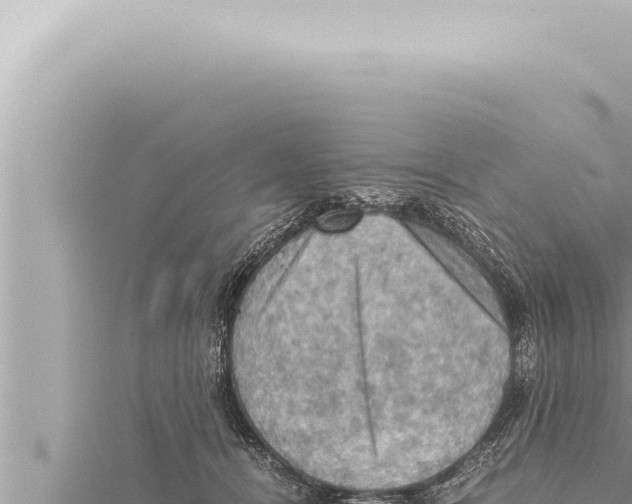 X0000115410464200912011229