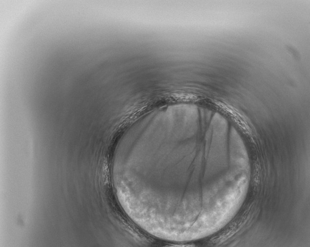 X0000115410465200912011229