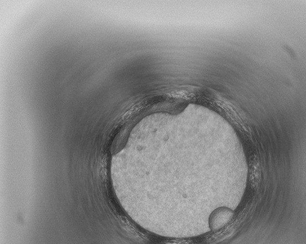 X0000115410466200912011229