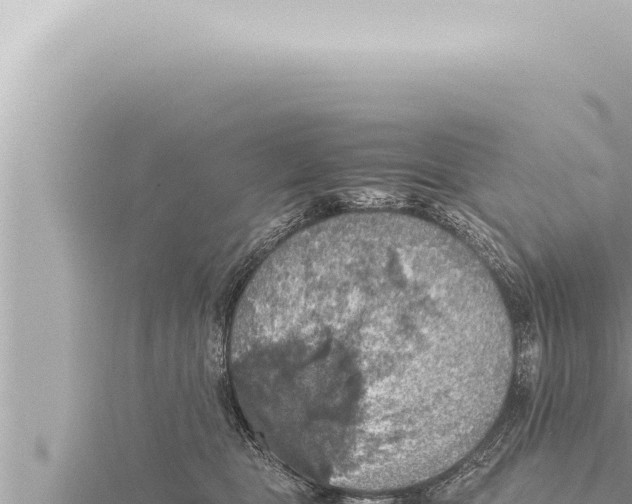 X0000115410469200912011229